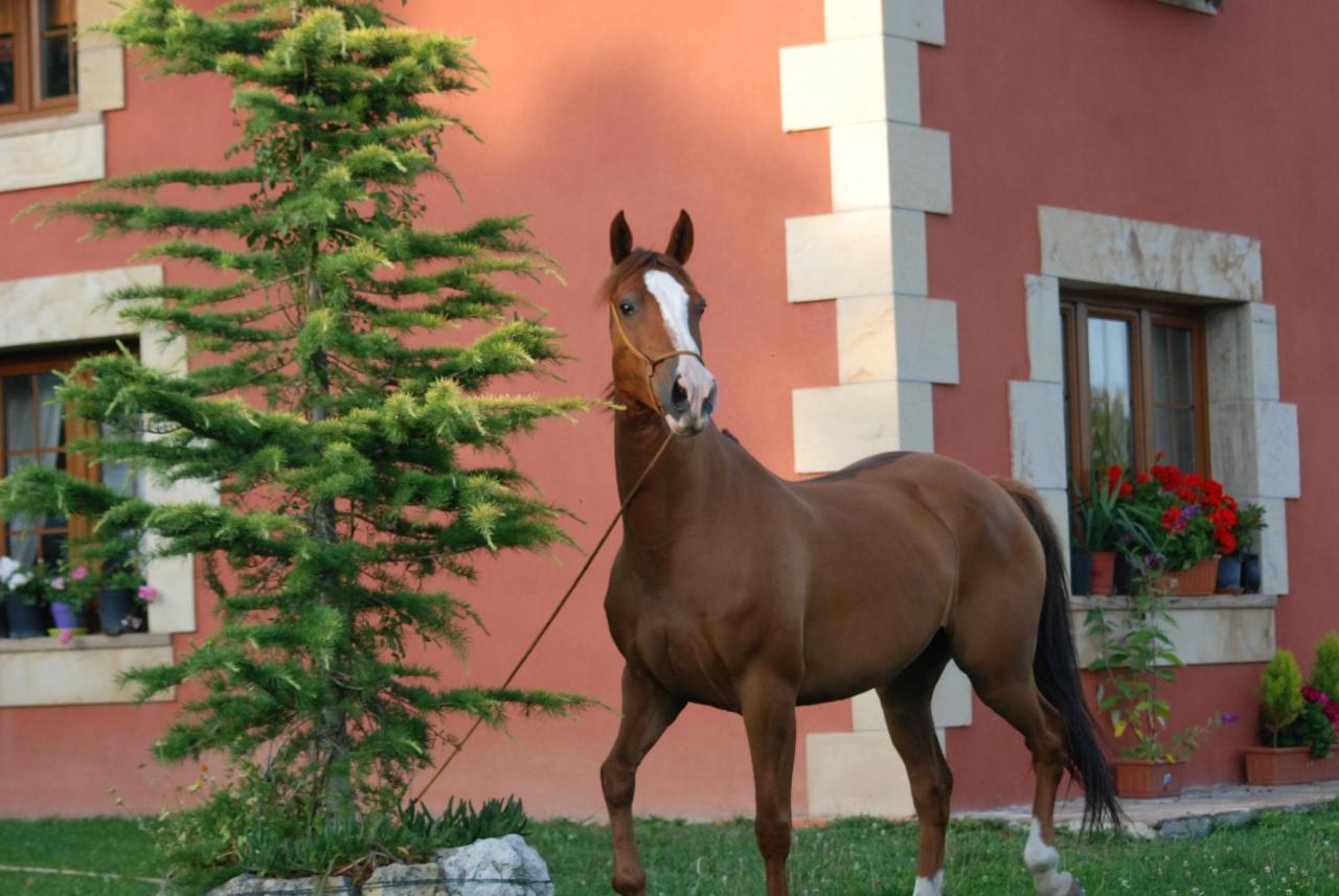 Casucas La Guariza Villa Fontibre Dış mekan fotoğraf